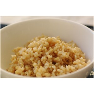 [有機JAS認定]  有機玄米ごはん（160g×20パック）
