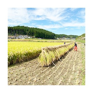 [有機栽培] 熊本県産　西山さんの架け干し玄米【にこまる】 (2kg)