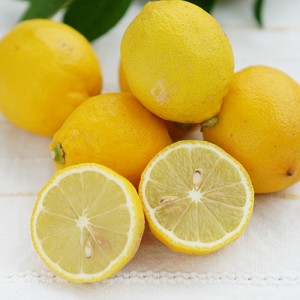 ［特別栽培］瀬戸田レモン（２Sサイズ）（5Kg）《シーズン外商品》