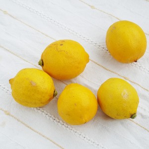 ［特別栽培］瀬戸田レモン（２Sサイズ）（5Kg）《シーズン外商品》