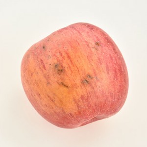 特別栽培 訳ありりんご（4玉）《シーズン終了》