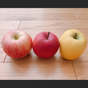 早生りんご食べ比べセット（きおう・つがる・未希ライフ各1玉）