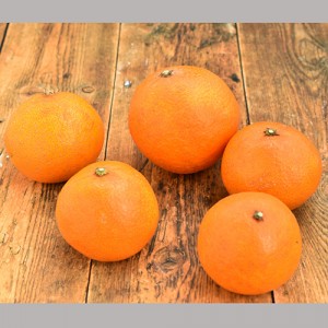 [有機栽培] 菊池さんのマドンナオレンジ (1kg)《シーズン外商品》