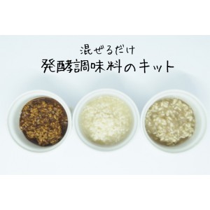 ★新春初売り★発酵調味料のセット(塩、玄米麹、醤油）
