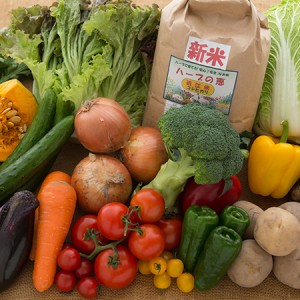 有機玄米と野菜のギフト