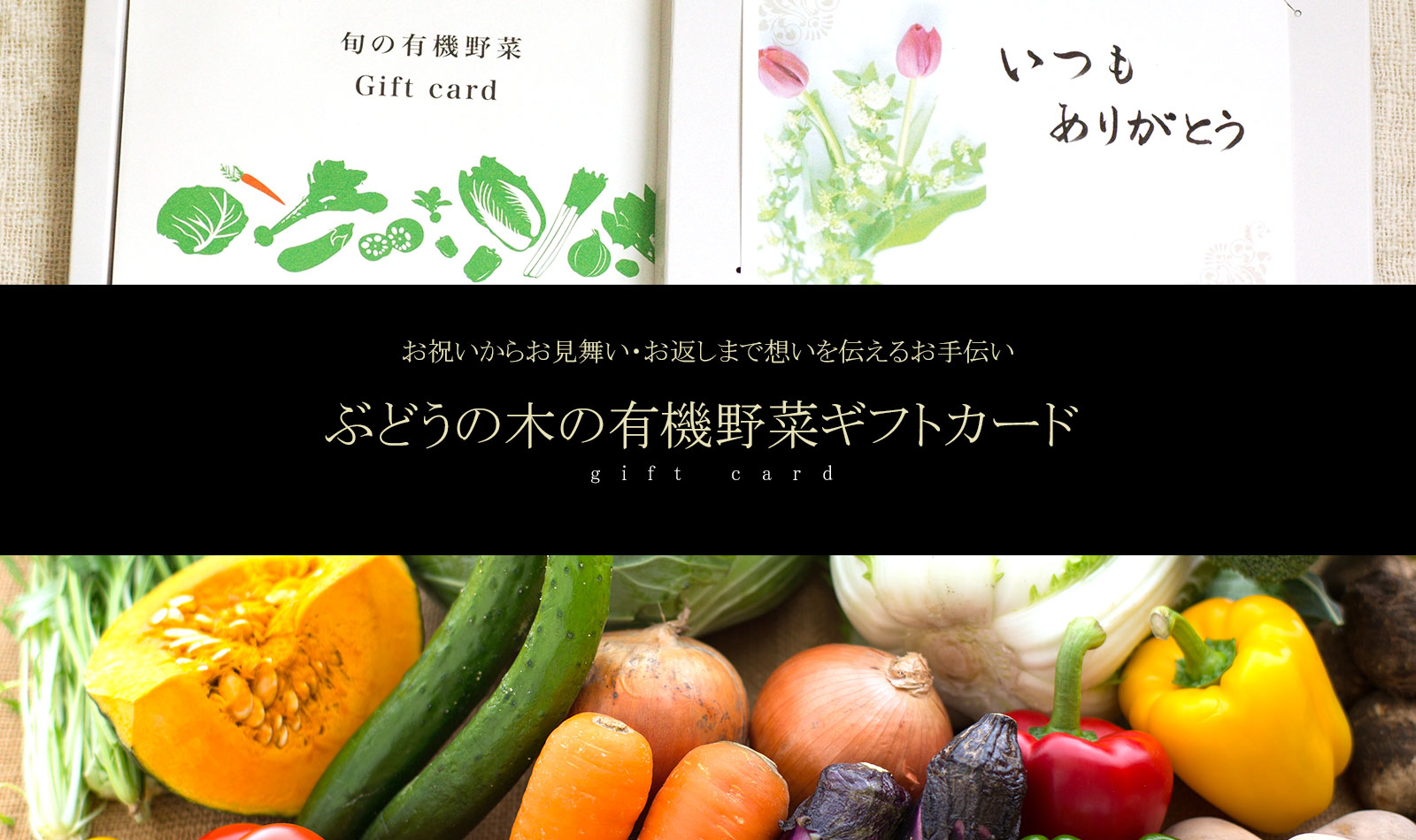1772円 Seasonal Wrap入荷 無農薬旬 野菜Lセット ギフト 自然食品 gift