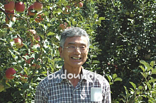 青森県産特別栽培国産りんご