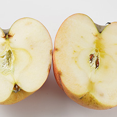 有機栽培無農薬ジュース用りんご