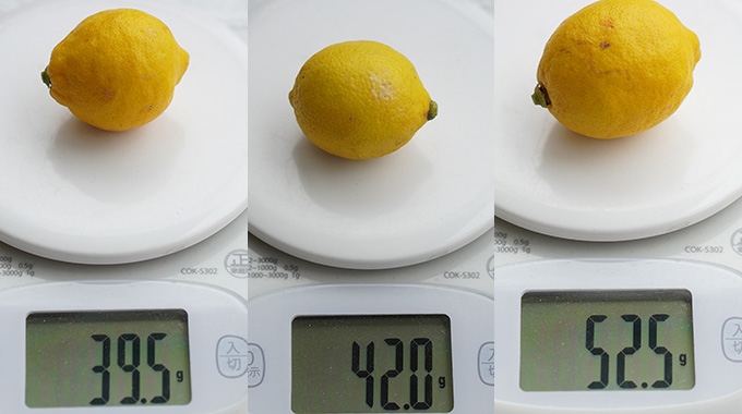 特別栽培レモン　使い切り２Sサイズ