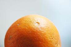 愛媛県産有機栽培ブラッドオレンジ