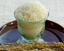 福井県産有機玄米